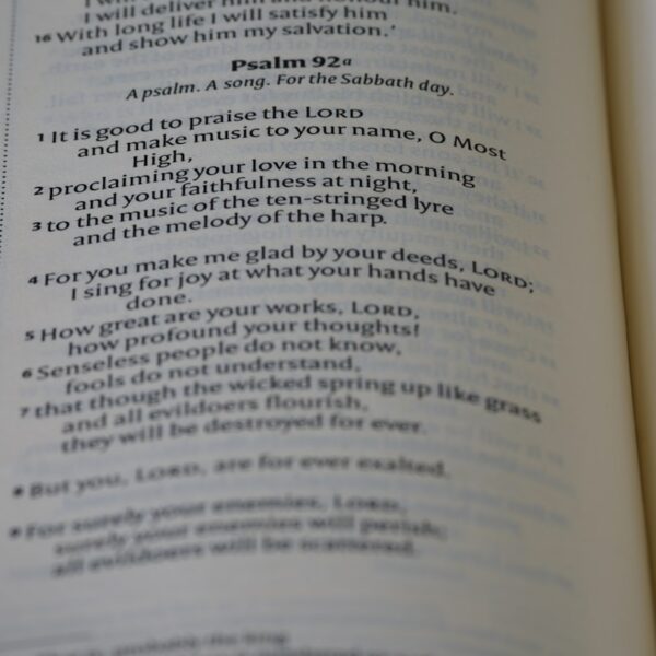 Rodzaje katalogów – kartkowe, komputerowe i online