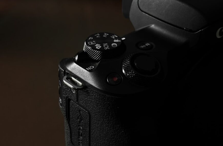 Kultura konwergencji – łączenie zbiorów tradycyjnych i cyfrowych