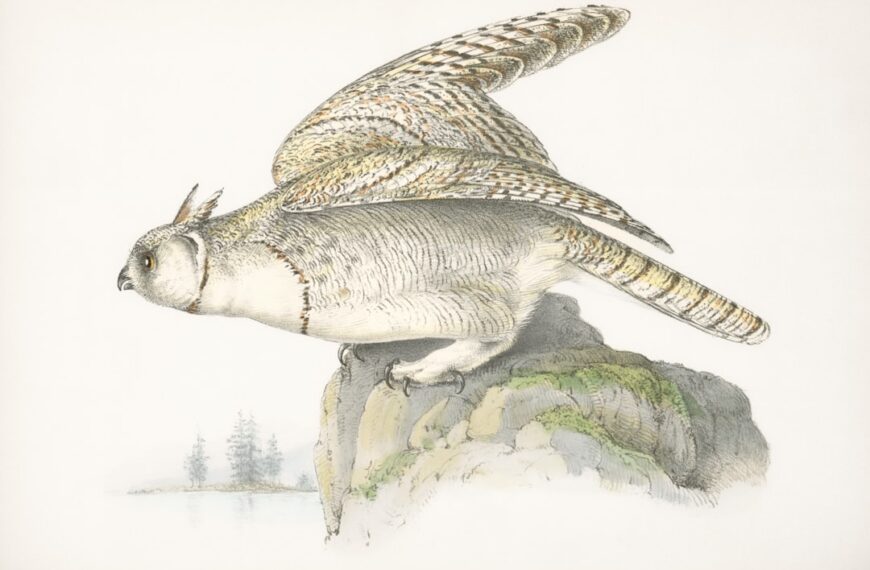 List do wydawnictwa – nauka pisania oficjalnych pism