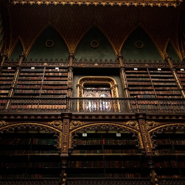 Biblioteka w szkole podstawowej – sprawdzone sposoby promocji czytelnictwa